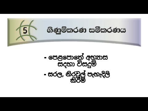 O Level Commerce - Grade 10 Lesson 05 - ගිණුම්කරණ සමීකරණය | O/L Commerce Sinhala
