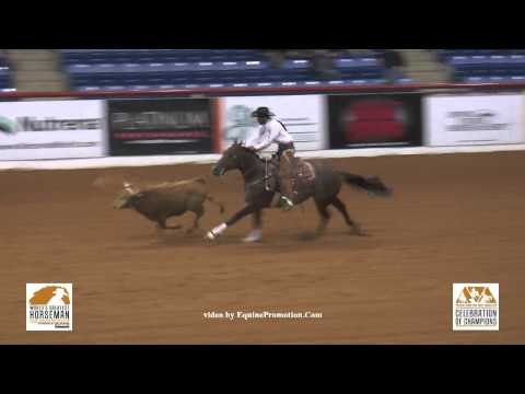 SDP Blue Blood ridden by Matt Koch - 2015 NRCHA Celebration of Champions (Steer Stopping - WGH)