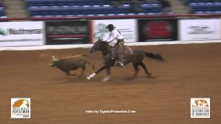 SDP Blue Blood ridden by Matt Koch - 2015 NRCHA Celebration of Champions (Steer Stopping - WGH)