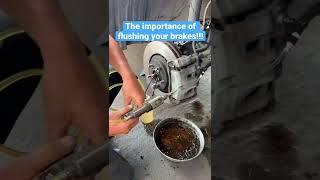 The importance of flushing your brakes!!!