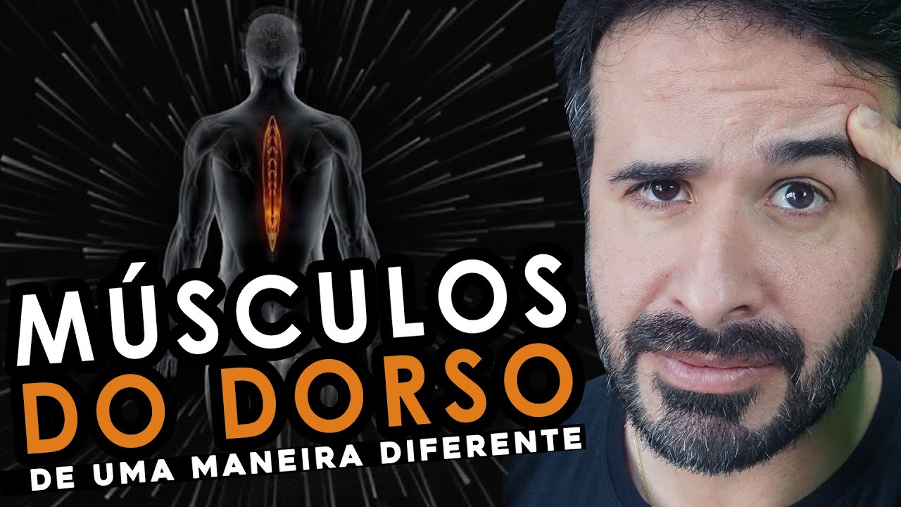 DESCUBRA COMO APRENDER TODOS OS MÚSCULOS DO DORSO DE UMA MANEIRA DIFERENTE