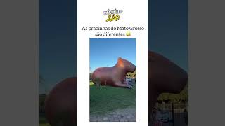 TENTE NÃO RIR: OS MELHORES VÍDEOS🤣 #vizualiza #videosengracados #tentenaorir#humor #comedia #tiktok