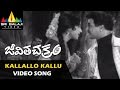 Jeevitha Chakram Songs Kallallo Kallupetti Video Song NTR Vanisri Sri Balaji Video