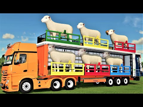 TRANSPORT OF COLORS ! BIG SHEEP TRANSPORTING WORK with MINI ZETOR TRACTORS ! Farming Simulator 22