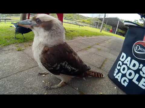 2018 1205 123257 002