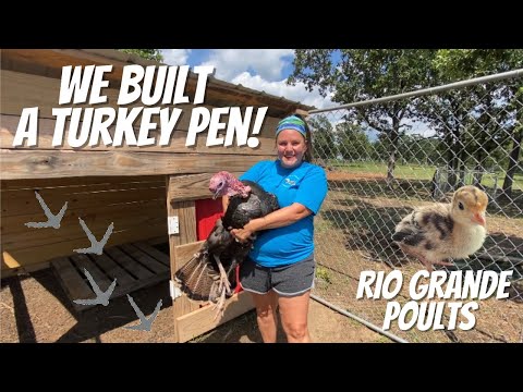 , title : 'Building A Turkey Pen: Turkey Coop and Run Is Ready For Our Growing Rio Grande Turkey Poults'
