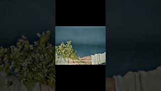 Download lagu Stay with me - Goblin ost ❤ #goblin mp3 Download lagu Stay with me - Goblin ost ❤ #goblin mp3