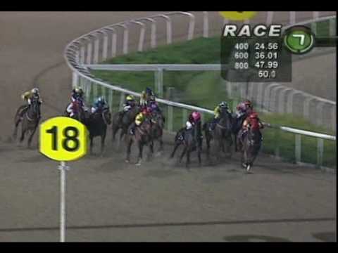 Merlion Trophy 2010 (Mexican Rose)