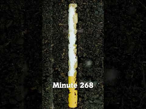 Cigarette Butts Decompose in Soil But at What Cost?