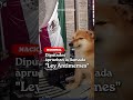 Homepage 3 Video thumbnail
