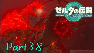ぜんっぜん目光らせてないやん…。。。-ゼルダの伝説 Tears of the Kingdom -part38-