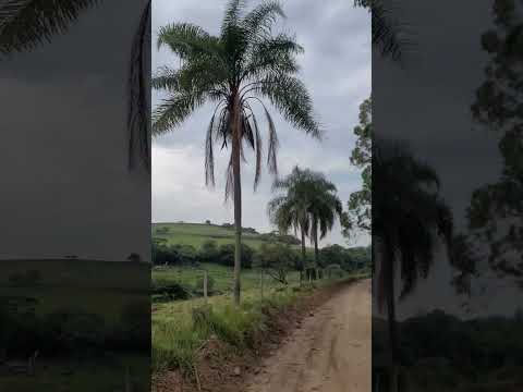 Pedal em Guareí  SP                           Bairros Cerrado e Sarandi