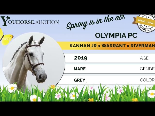 Olympia showvideo outdoor 1m20