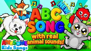 ABC Zoo Song – Real Animal Sounds & Alphabet Fun for Preschool | #AwesomeKidsSongs