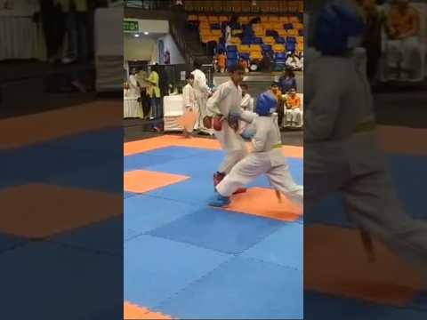 South Karate Showdown: The 5‑Second KO That Won the Championship #shorts #karate #sport #shortsfeed