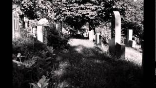 The Town Pants - Drinking In The Graveyard