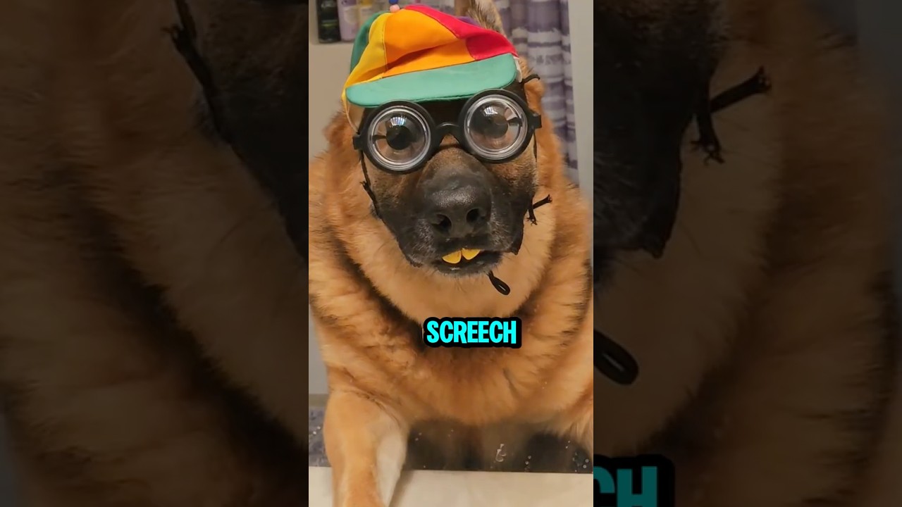 How Do You Say Nerd in German?