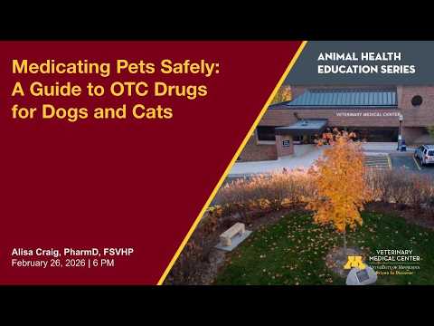 Medicating Pets Safely: A Guide to OTC Drugs for Dogs and Cats