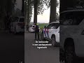 Hondje achtergelaten na botsing | #shorts
