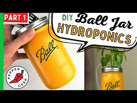 How To Make A Hydroponics Ball Jar To Grow Anything - Pepper Geek