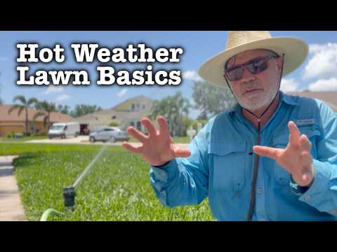 How To Keep Your Lawn GREEN This SUMMER