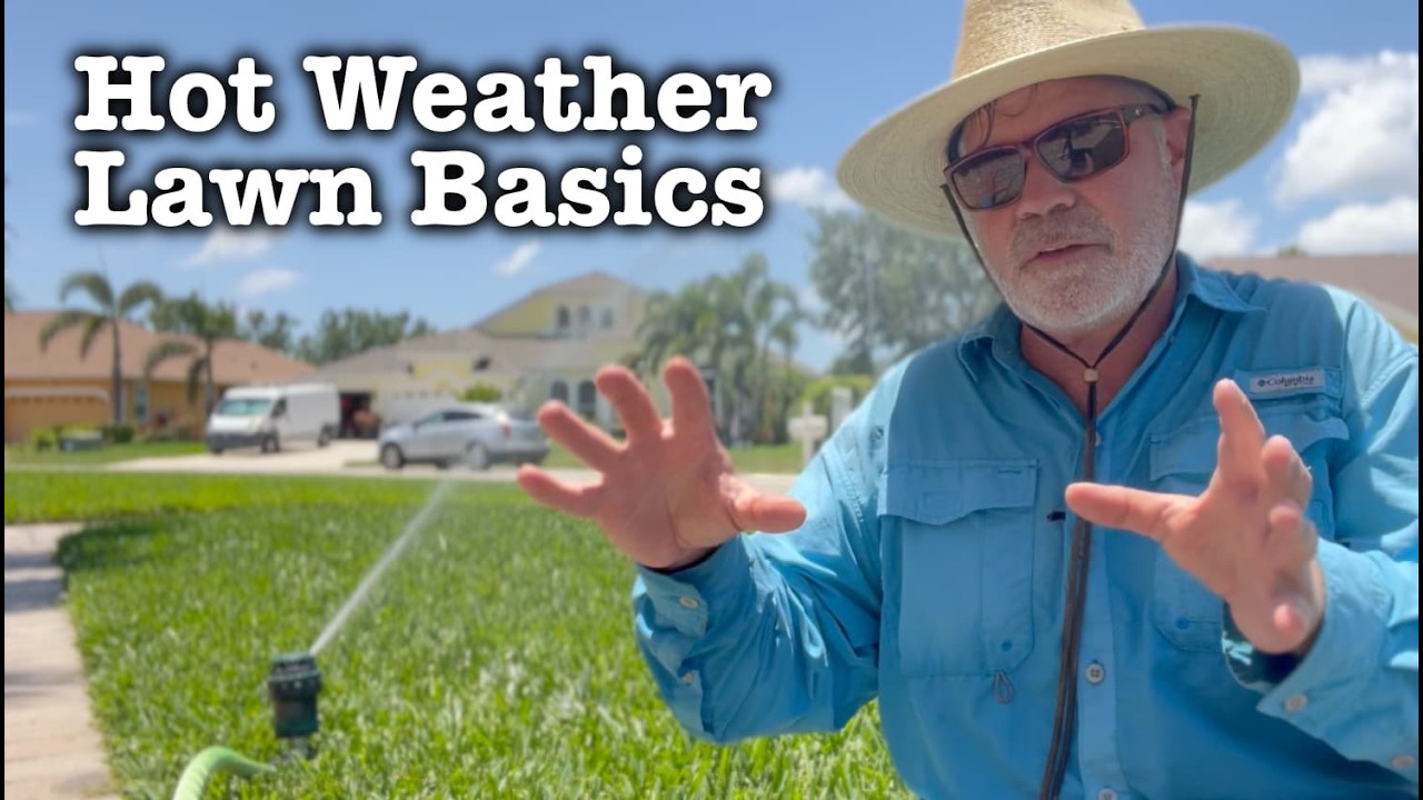 How To Keep Your Lawn GREEN This SUMMER