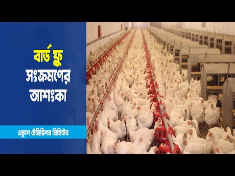 পোল্ট্রি ফার্মে জৈব নিরাপত্তা ব্যবস্থা খুবই নাজুক