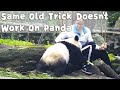 Same Old Trick Doesn’t Work On Panda | iPanda