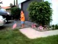 Bat Hit Car