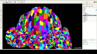 Movie 6 CNN Prediction for 3D Segmentation
