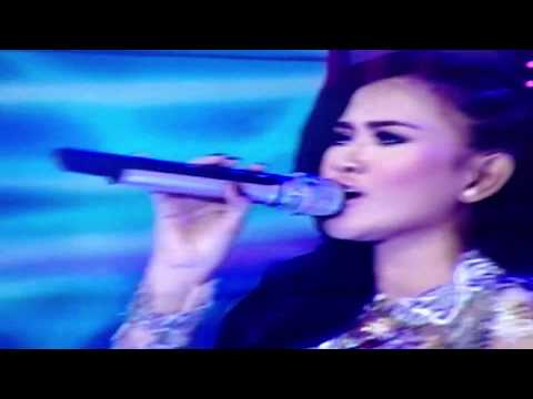 MEGGY DIAZ - LIVE PERFORMANCE " VIRUS "