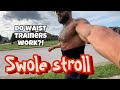 Do Waist Trainers Work? | Upcoming Events - Swole Stroll