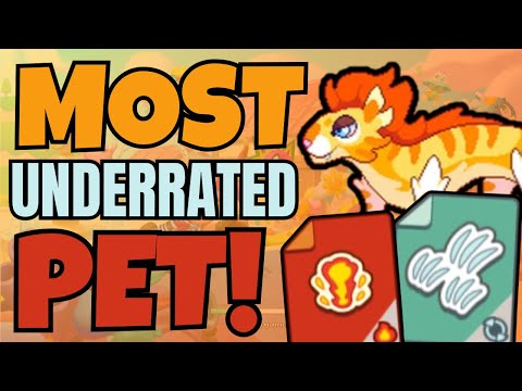 This IS The Most Underrated Pet Ever | Prodigy Math Game