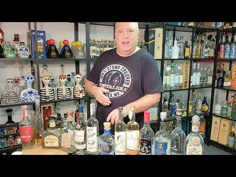 Lou Agave of Long Island Lou Tequila-13 Tequila Distilleries You Need To Know- WORLD'S BEST TEQUILAS