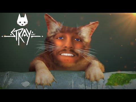 Stray | Ciao, sono un gatto | #1 | Gameplay Ita