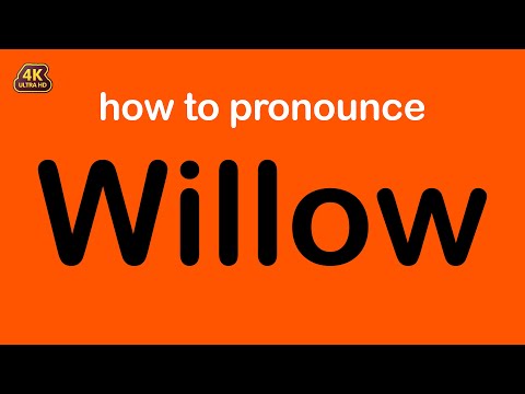 how to pronounce Willow correctly