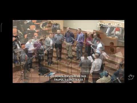 Cor Barbatesc Micalaca Arad