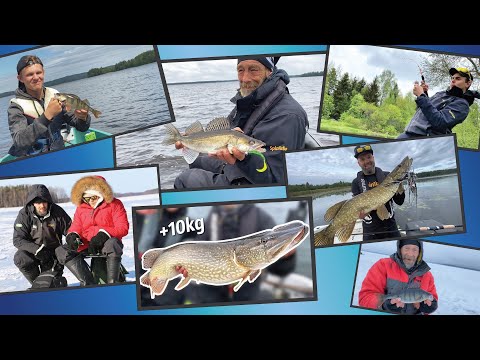 Kalastusfiiliksiä vuodelta 2021 - Valikoidut huippuhetket