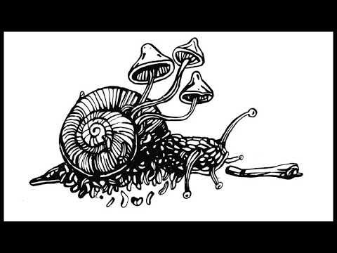 WWS/ARABE - TO JEST TAK