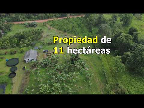 PROPIEDAD PEDRO VICENTE MALDONADO