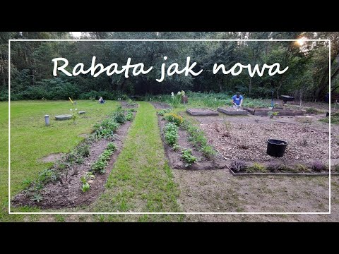 Ogród od zera #26 - Obkopujemy rabatę