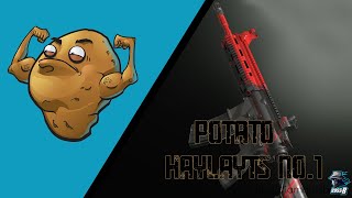 Potato Haylayts #1