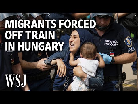 Armed Police Force Migrants Off Train in Hungary | WSJ