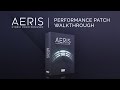 Video 3: Performance Patches