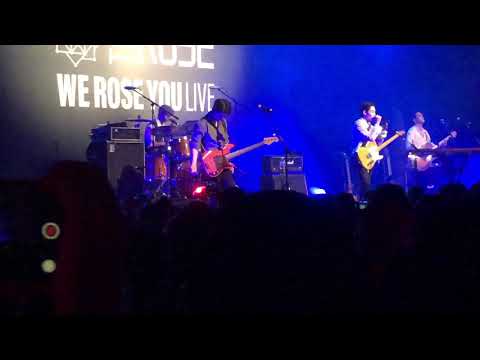 The Rose she’s in the rain NYC