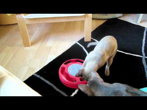 Spielzeugaustausch mit Mümmes