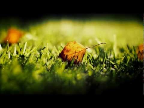 Nerutto - Fields Of Love (Original Mix)