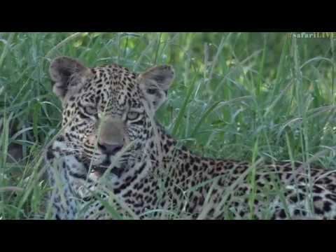 Jan 12, 2017- Sunrise- And All Of A Sudden There Is Hosana