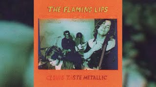 The Flaming Lips - Placebo Headwound