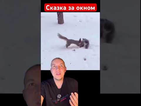 Сказка за окном